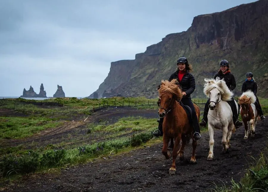 Black Sand Horse Riding, South Coast, Iceland · view 3
