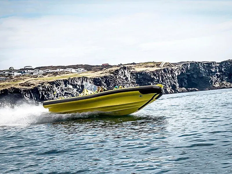 Westman Islands RIB Safari, Heimaey, Iceland · view 2