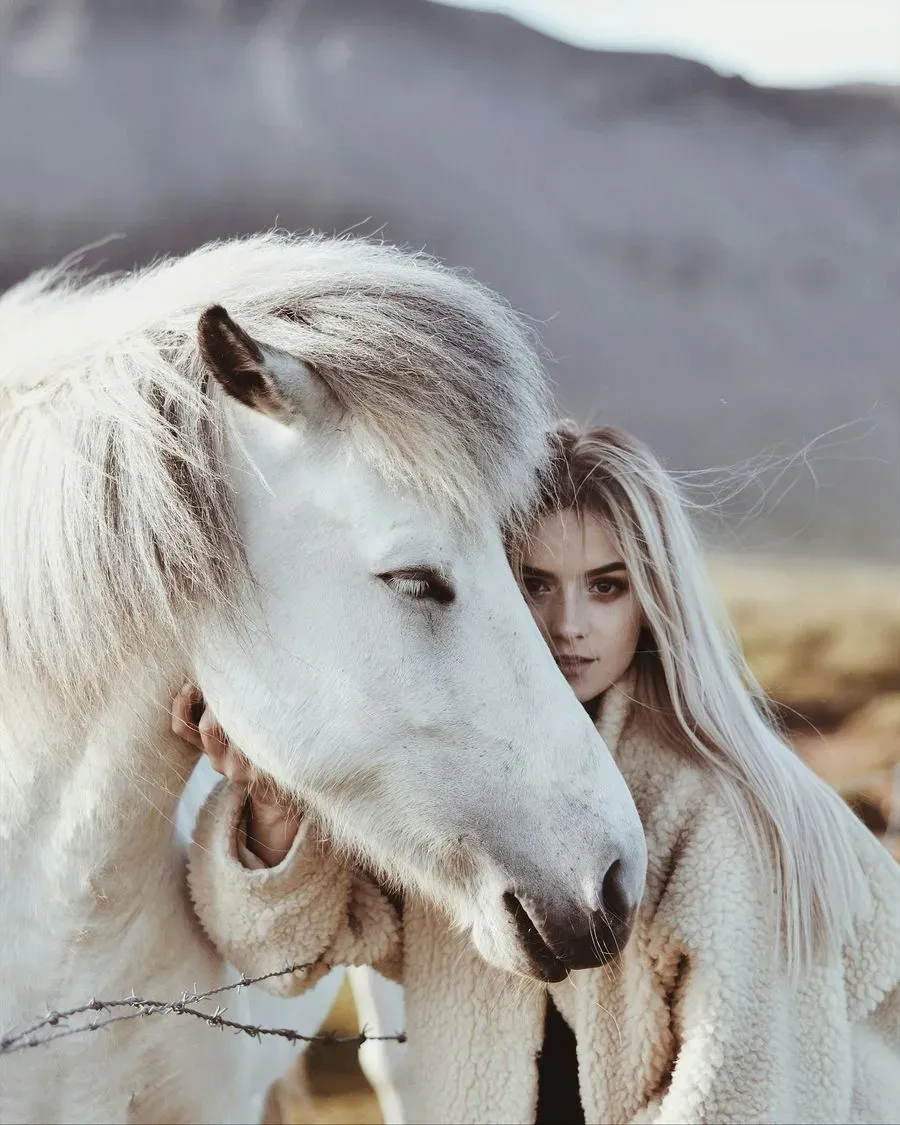 Horseback Riding Tour, Reykjavík, Iceland · view 2