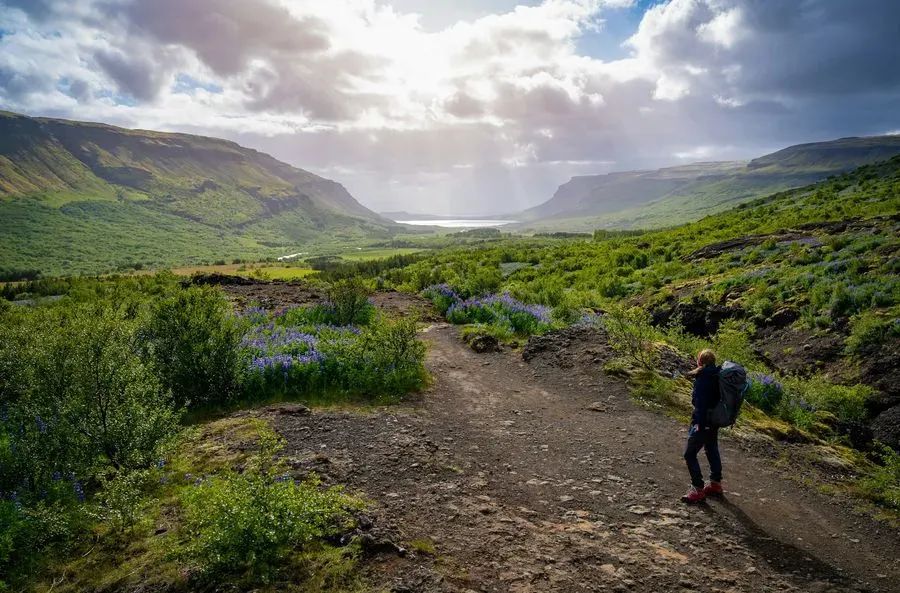Glymur Waterfall, Reykjavík, Iceland · view 3
