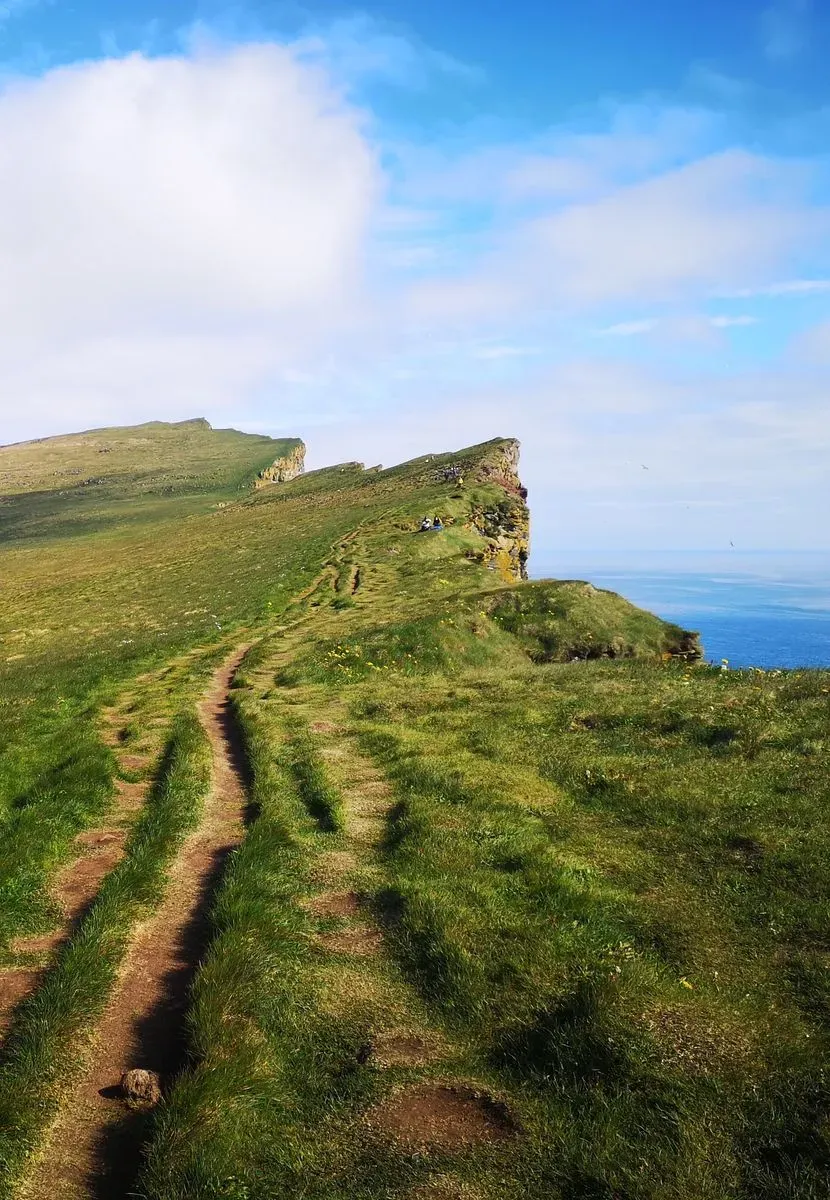 Látrabjarg Cliff, Westfjords, Iceland · view 2