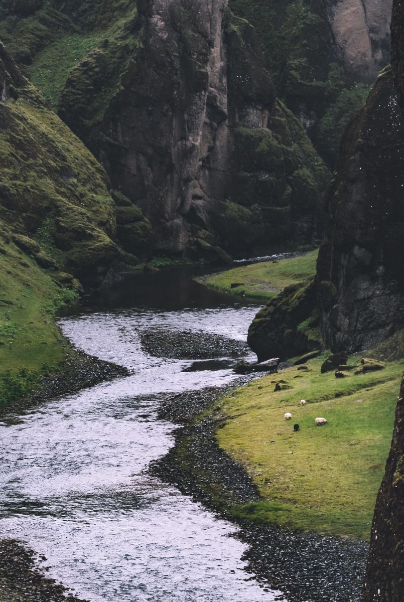 Fjaðrárgljúfur Canyon in undefined region of undefined