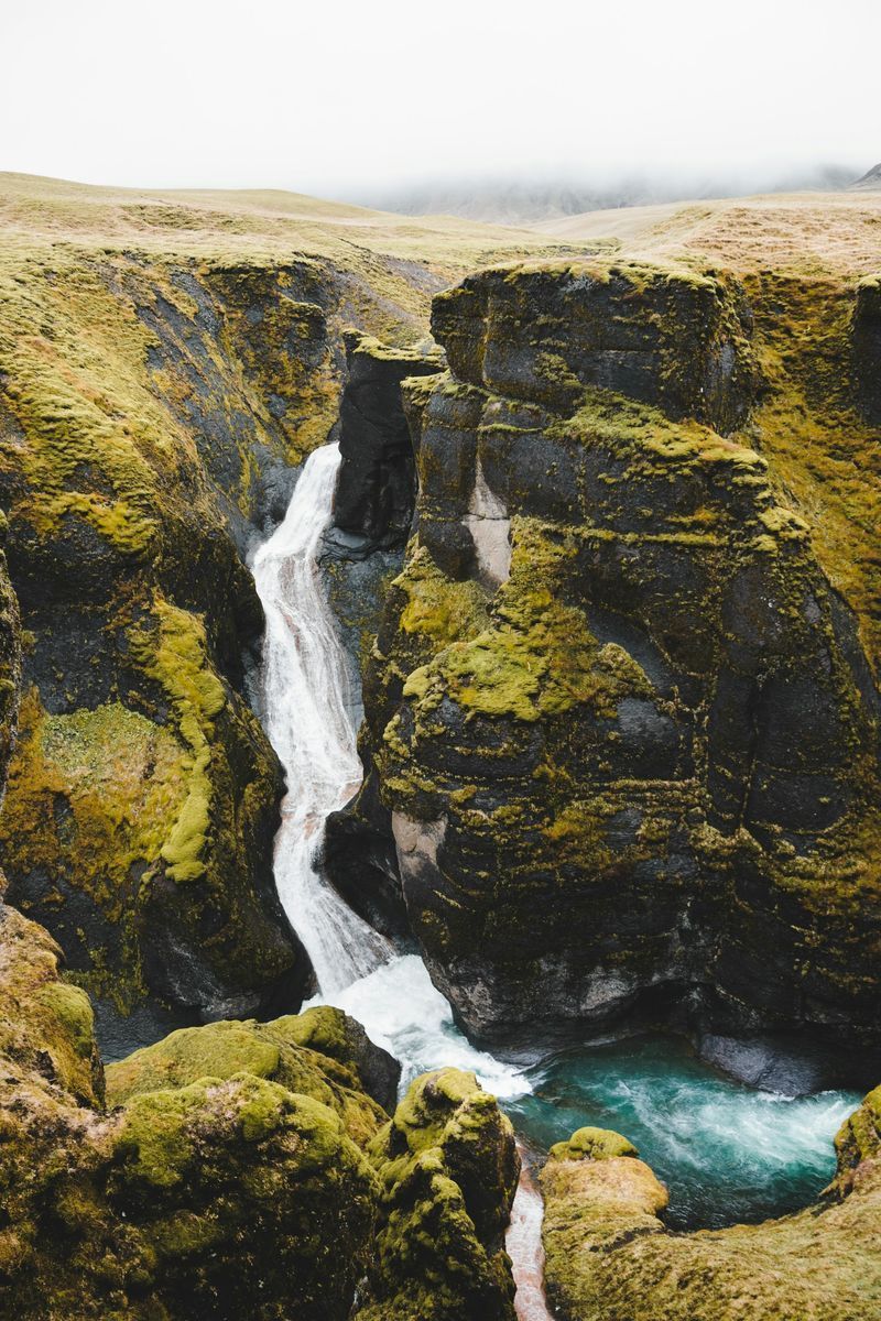 Fjaðrárgljúfur Canyon in undefined region of undefined