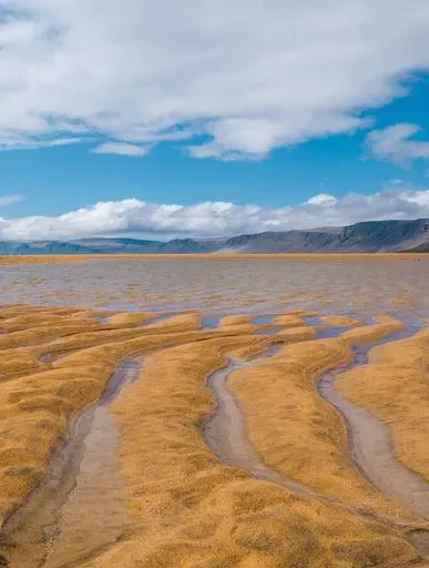 Rauðisandur Beach in Westfjords region of Iceland