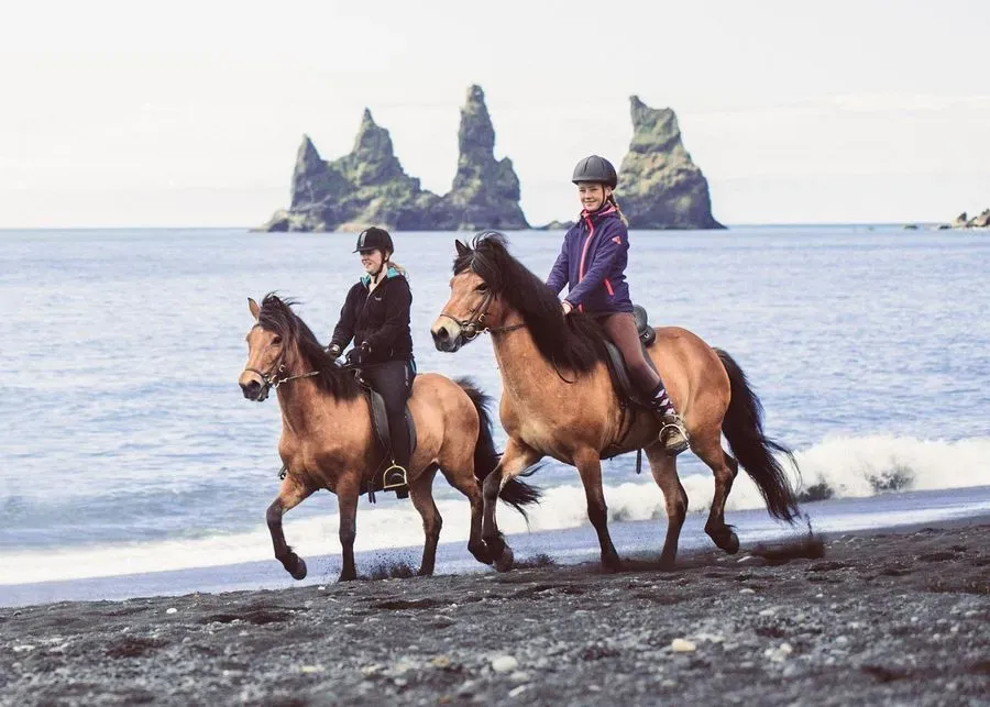 Black Sand Horse Riding, South Coast, Iceland · view 2