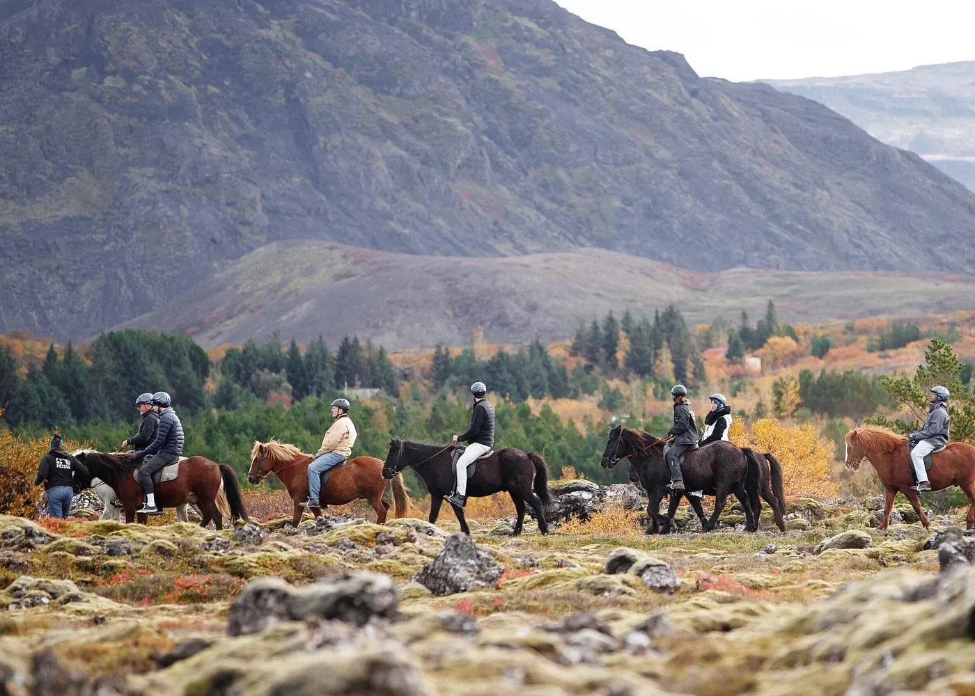 Horseback Riding Tour, Reykjavík, Iceland