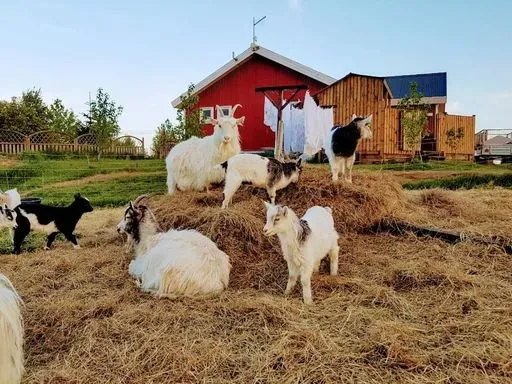 Skálatjörn Guesthouse in Golden Circle region of Iceland