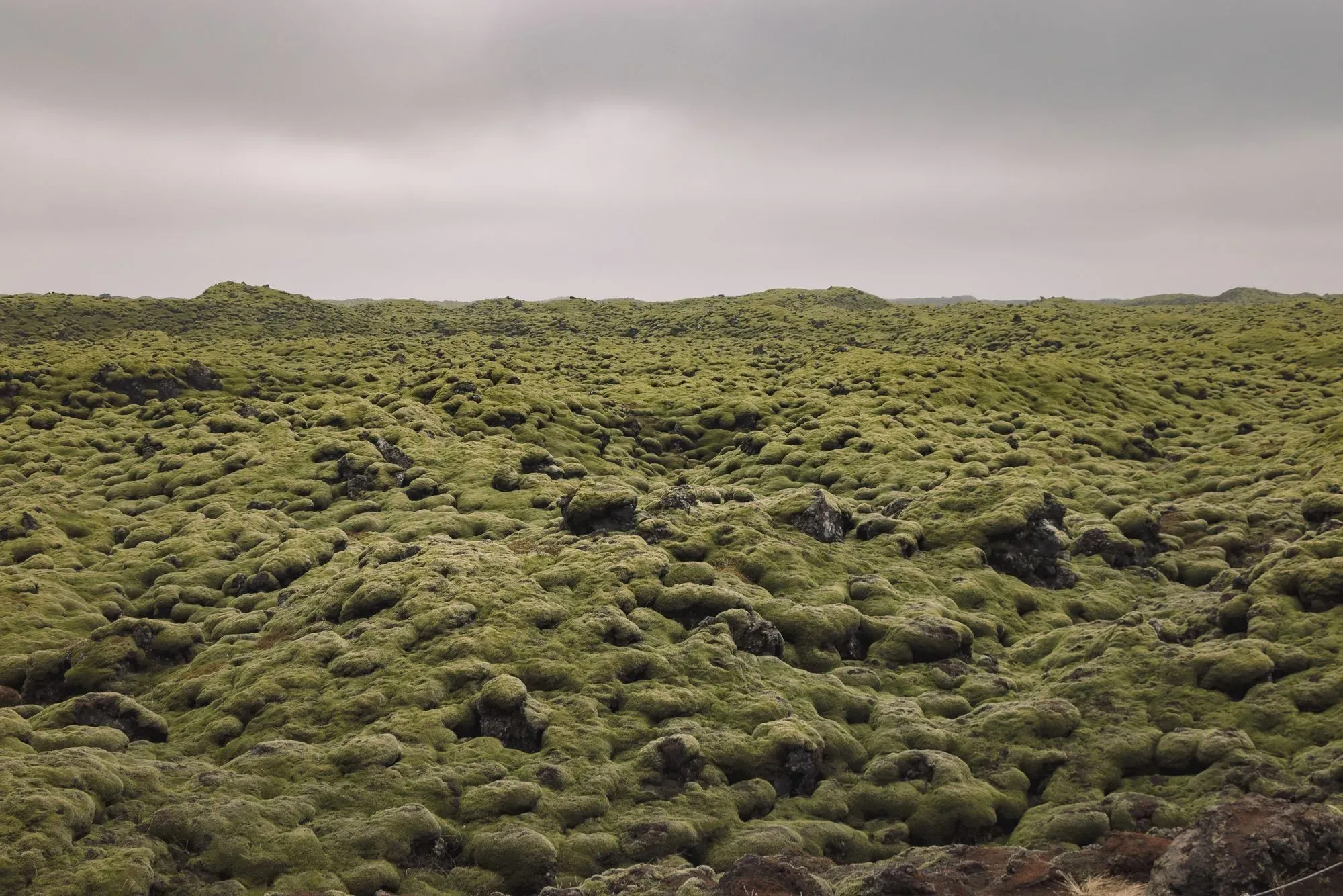 Eldhraun Lava Field, South Coast, Iceland