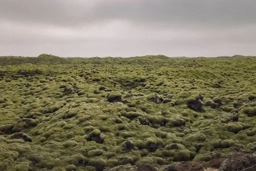Eldhraun Lava Field in South Coast region of Iceland