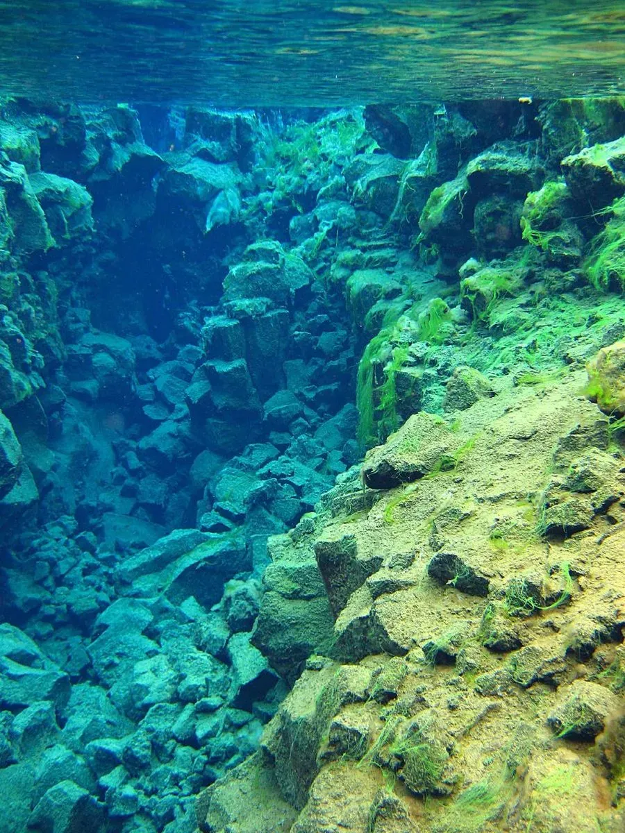 Silfra Fissure Snorkeling, Golden Circle, Iceland · view 2
