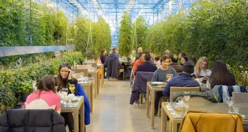 Friðheimar Tomato Greenhouse preview image