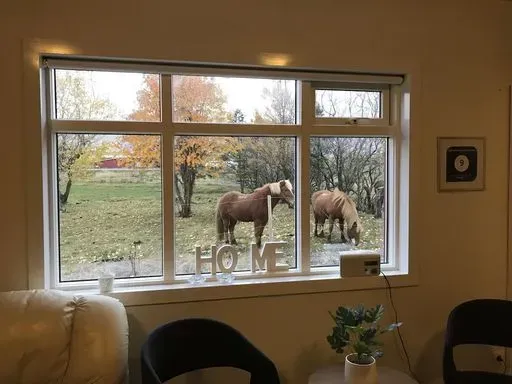 Syðra-Skörðugil Guesthouse in Northwest region of Iceland