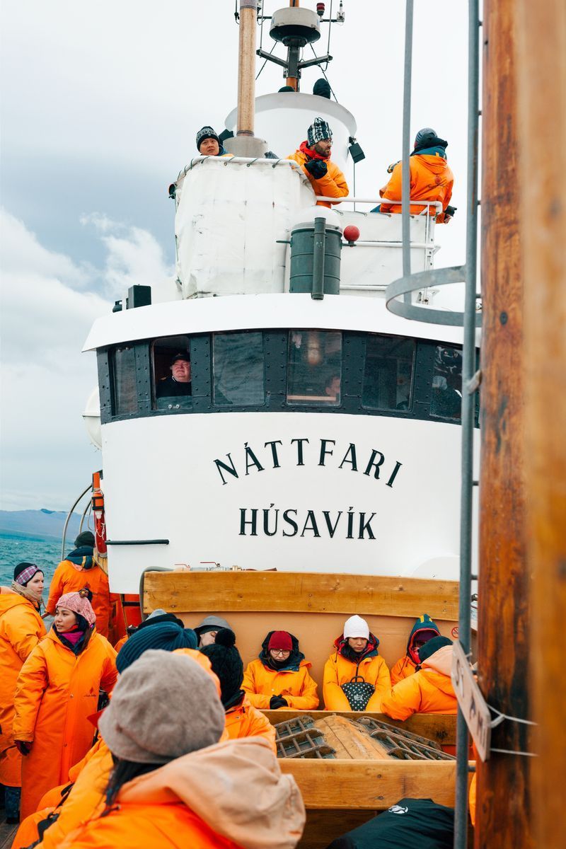 Whale Watching from Húsavík in undefined region of undefined