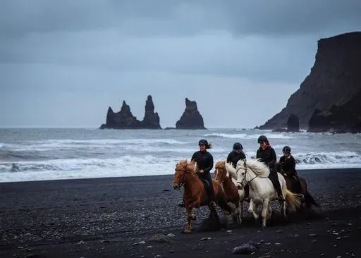 Black Sand Horse Riding preview image