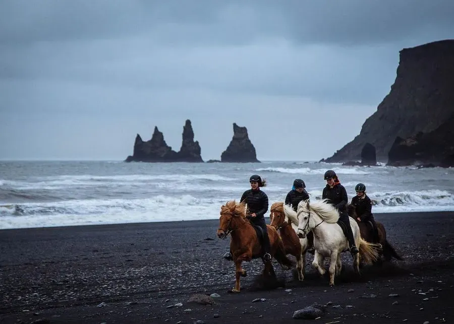 Black Sand Horse Riding in Iceland