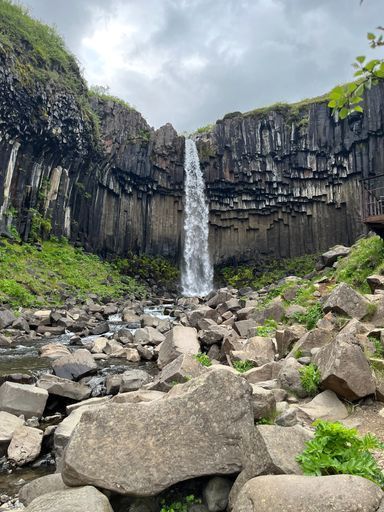 Svartifoss activity image