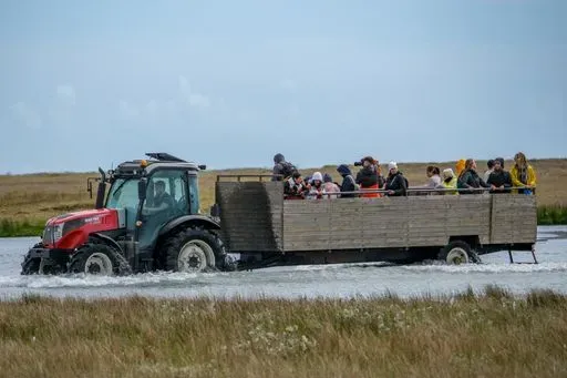 Ingólfshöfði Puffin Tour preview image