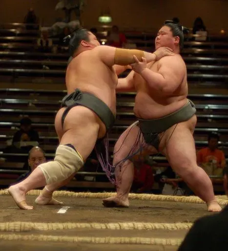 Sumo Wrestling Watch in Tokyo region of Japan
