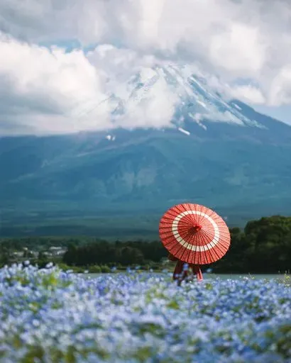 Oishi Park in Fuji region of Japan