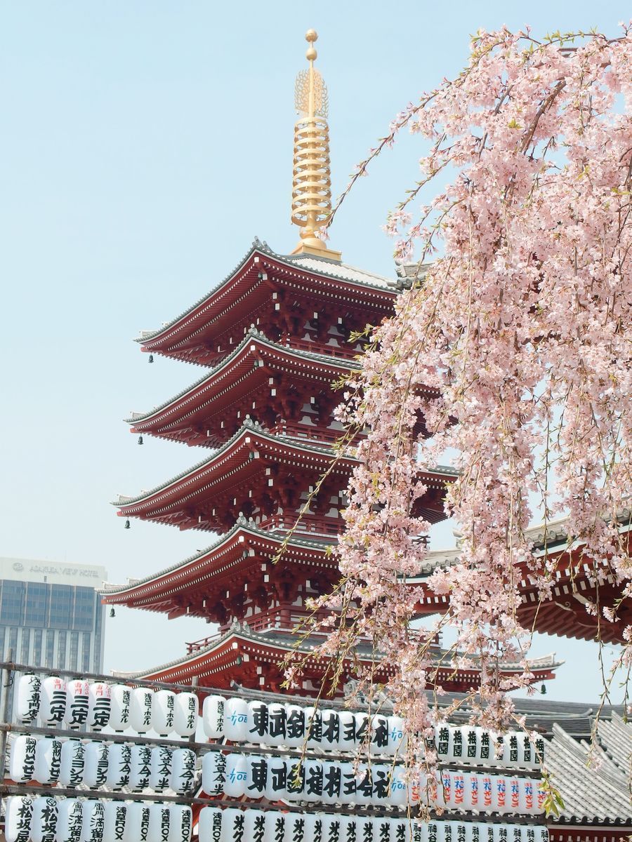 Sensō-ji Temple in undefined region of undefined