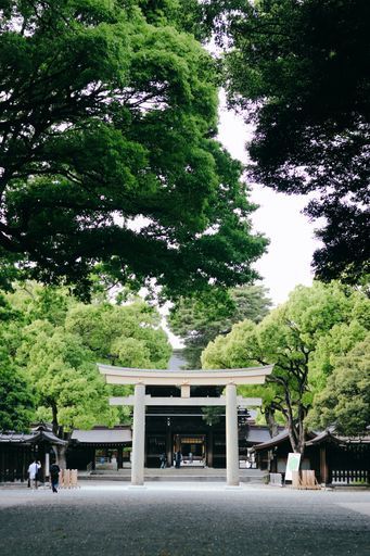 Meiji Jingu activity image