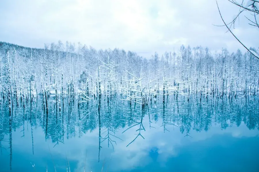 Snowy Hokkaido preview image