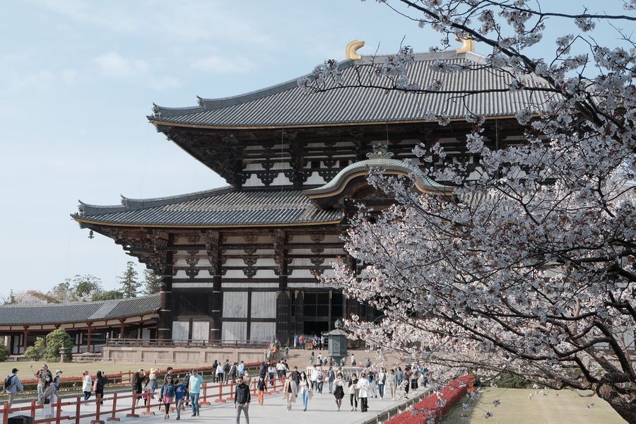 Nara Park in undefined region of undefined