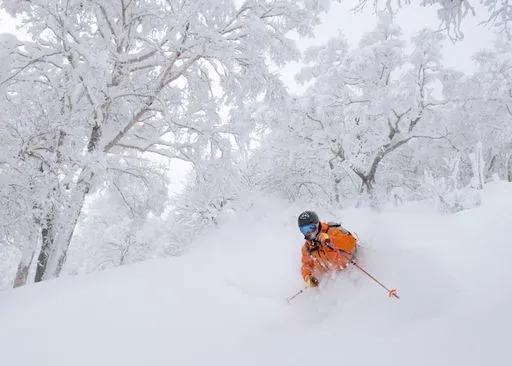 Niseko Guided Backcountry Skiing in Niseko region of Japan
