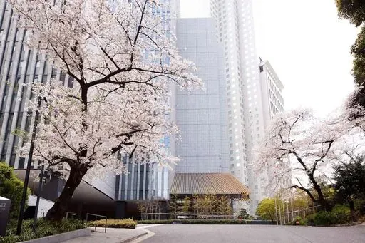 Capitol Hotel Tokyu preview image