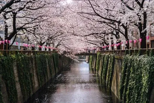 Meguro River Promenade in Tokyo region of Japan