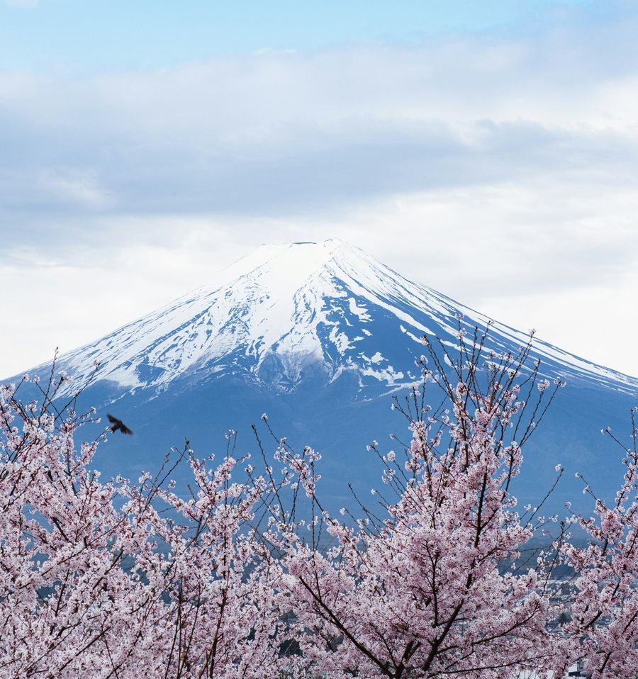 Chureito Pagoda in undefined region of undefined