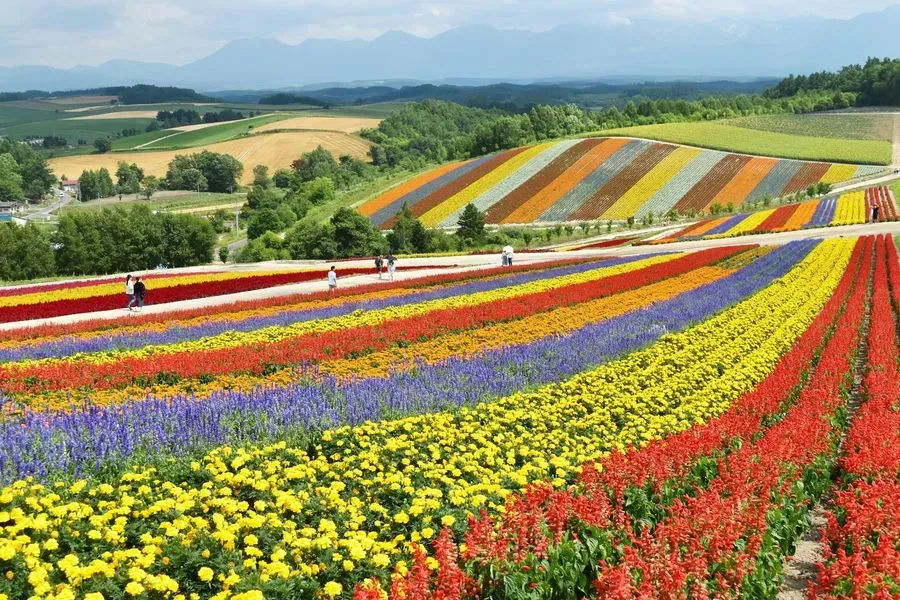 Hokkaido Road Trip preview image