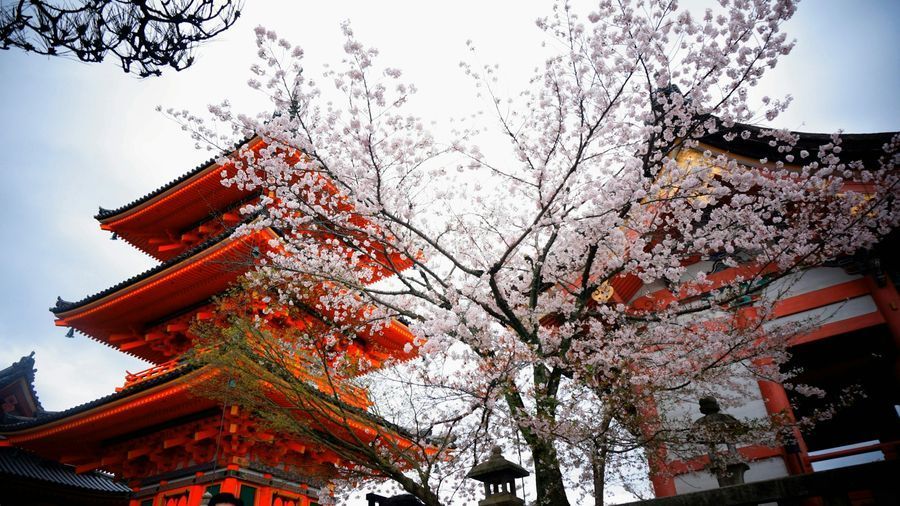 Sensō-ji Temple in undefined region of undefined