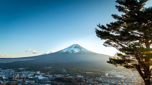 Fujiyama Twin Terrace activity image