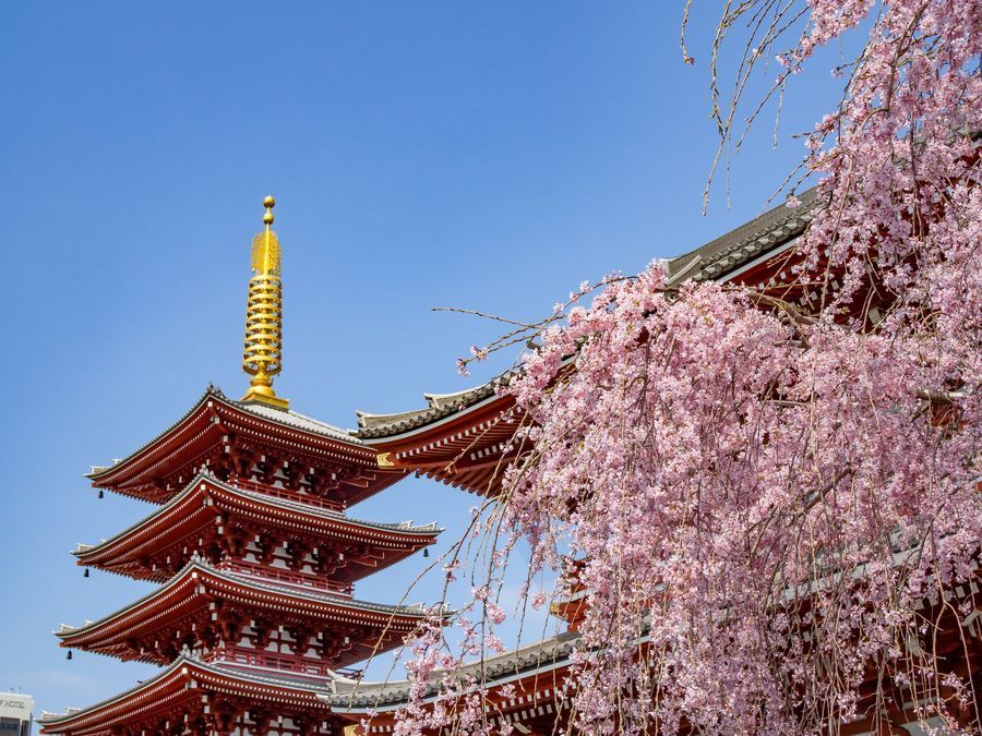 Sensō-ji Temple in undefined region of undefined