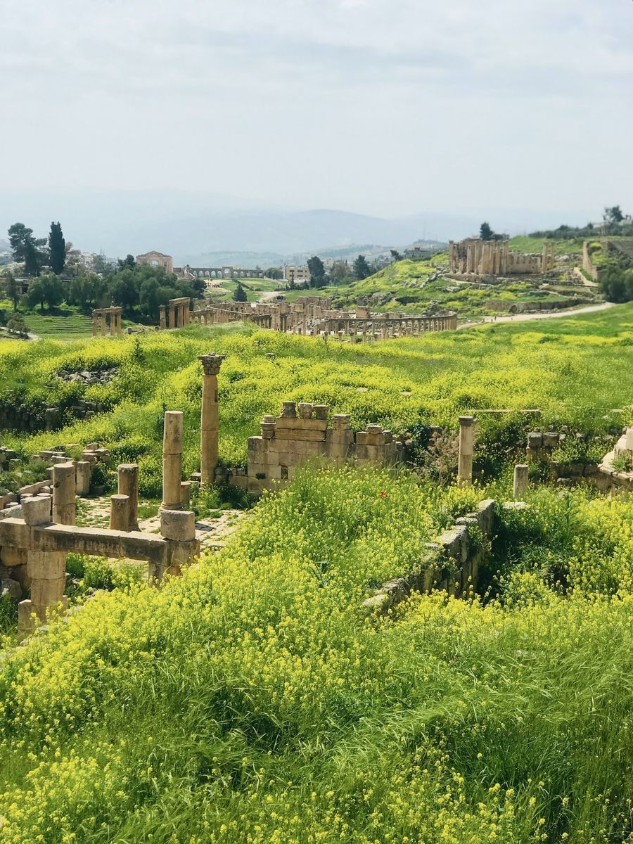 Jerash Ruins in undefined region of undefined