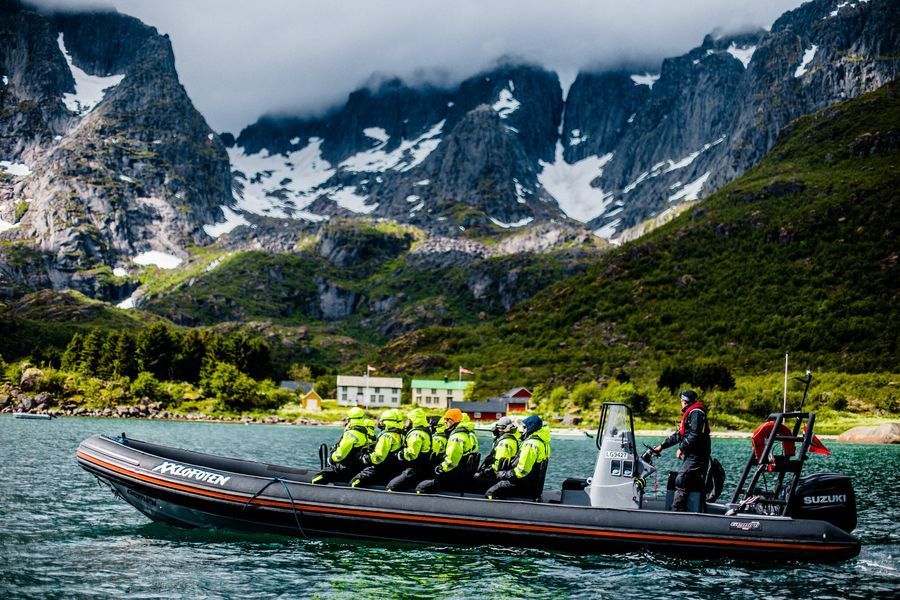 Trollfjord Sea Eagle Safari in undefined region of undefined