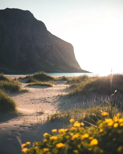 Horseid Beach Hike preview image