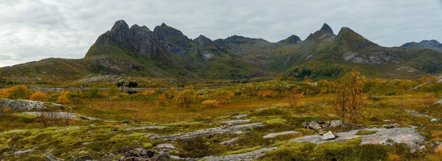 Djevelporten & Fløya Hike in undefined region of undefined