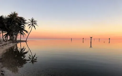 Sunset at Matheson Hammock Park preview image
