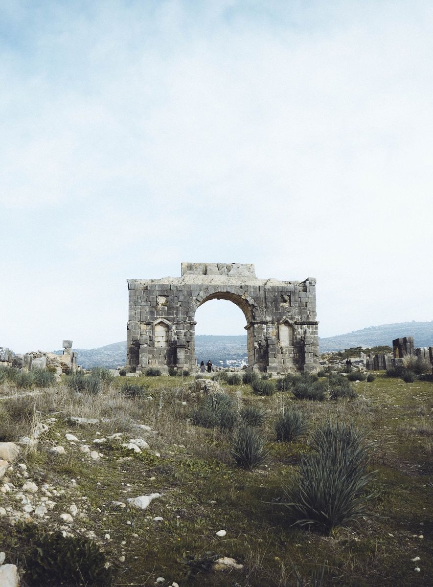 Volubilis in undefined region of undefined