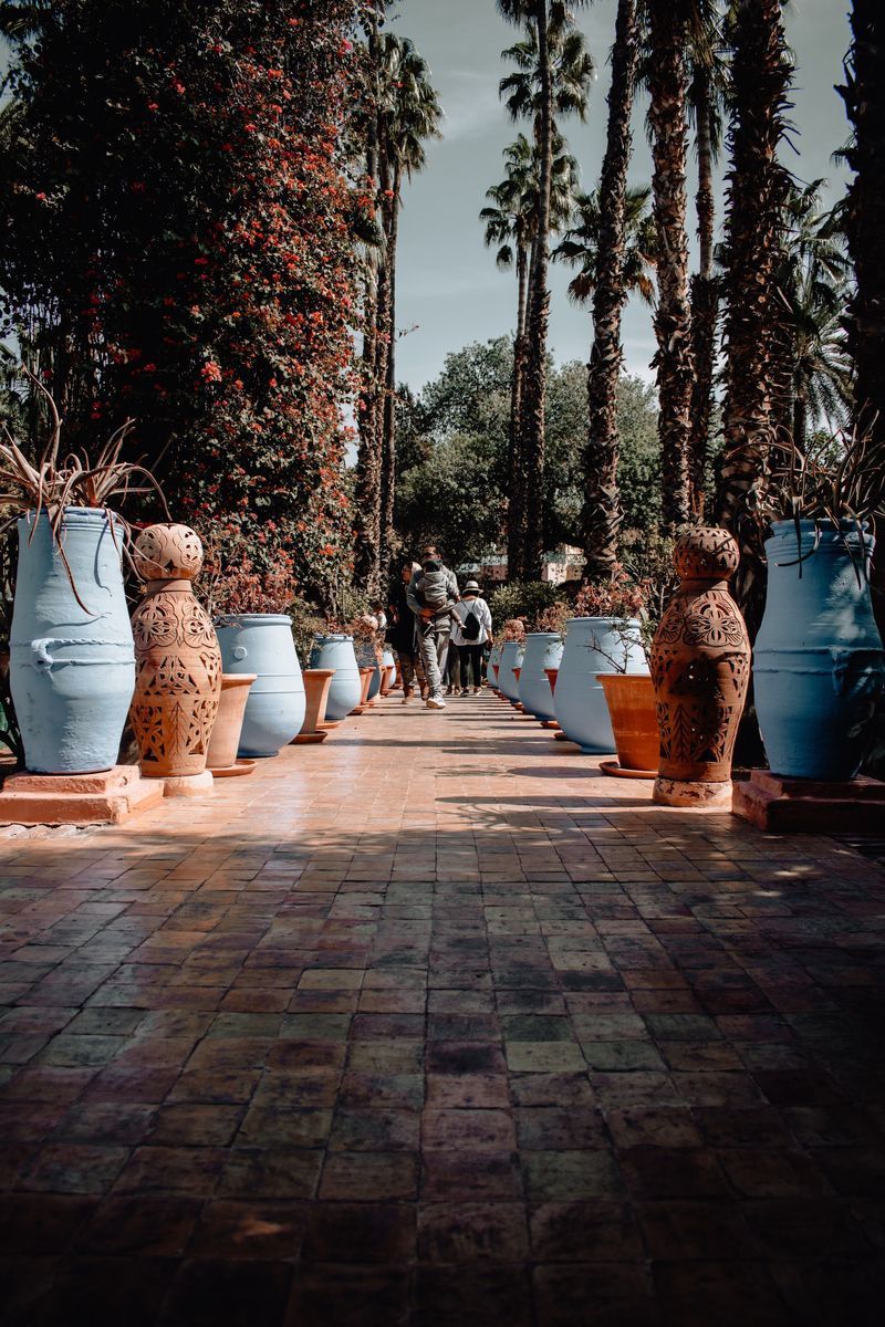 Jardin Majorelle in undefined region of undefined