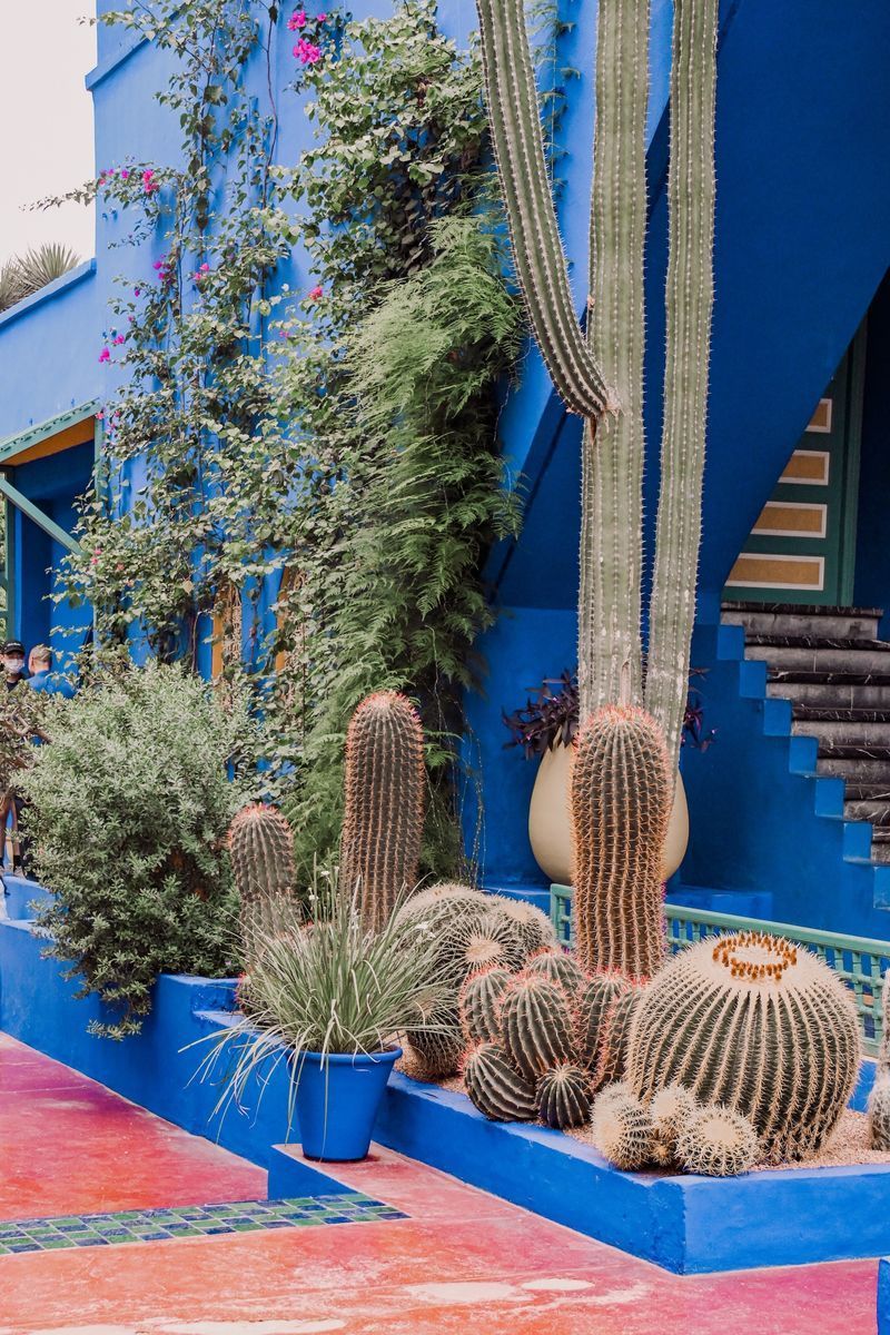 Jardin Majorelle in undefined region of undefined