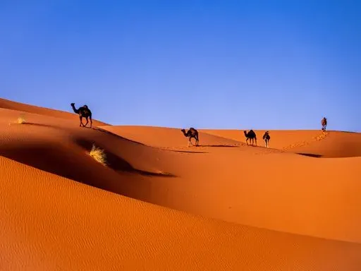 Erg Chebbi in Merzouga region of Morocco