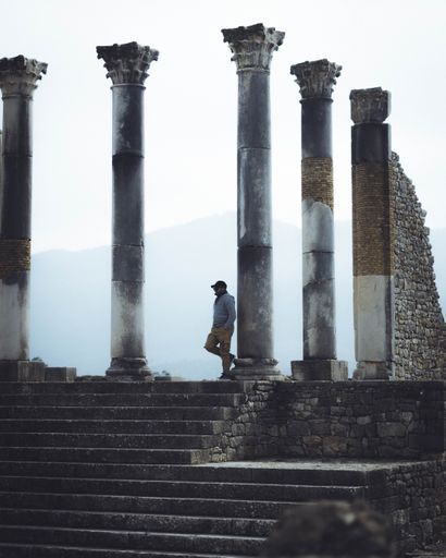 Volubilis activity image