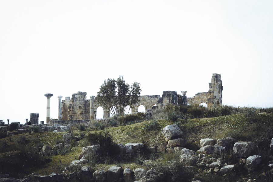 Volubilis in undefined region of undefined