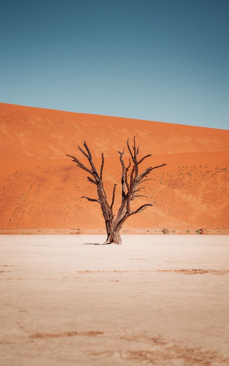 Deadvlei in undefined region of undefined