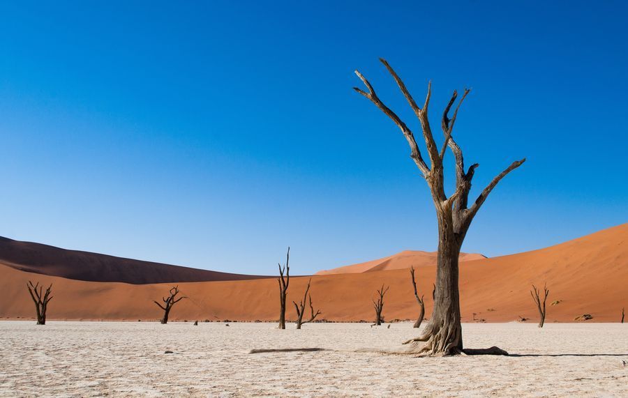 Deadvlei in undefined region of undefined