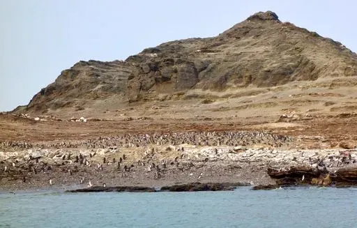 Halifax Island in Luderitz region of Namibia