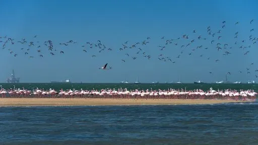 Walvis Bay in Walvis Bay region of Namibia